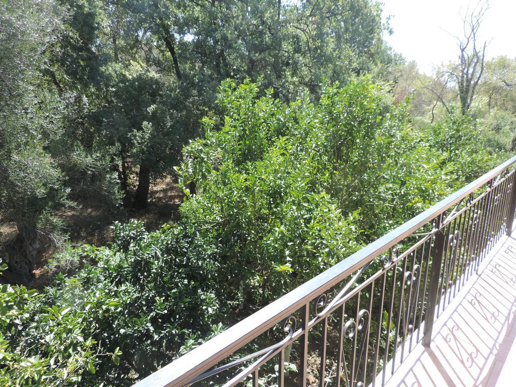 Alexandra Spingou Apartments Dassia  Luaran gambar